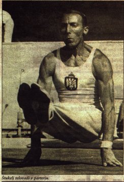 parter.jpg (25728 bytes)